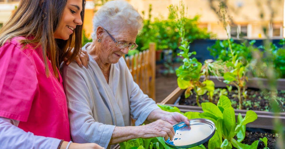 Emotional Support and Companionship for Seniors