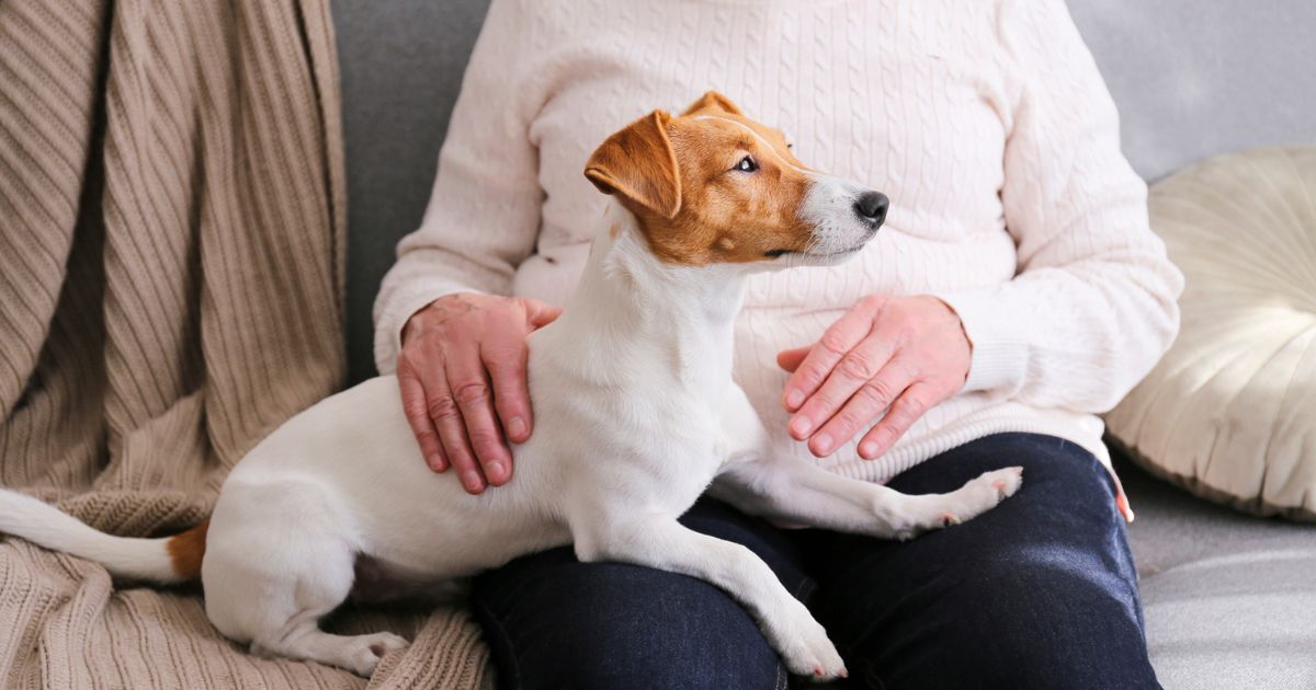 Geriatric Patient and Dog