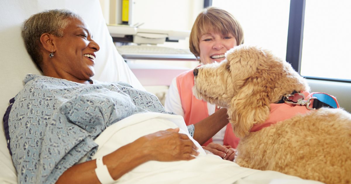 Pet Therapy Dog Visiting Senior